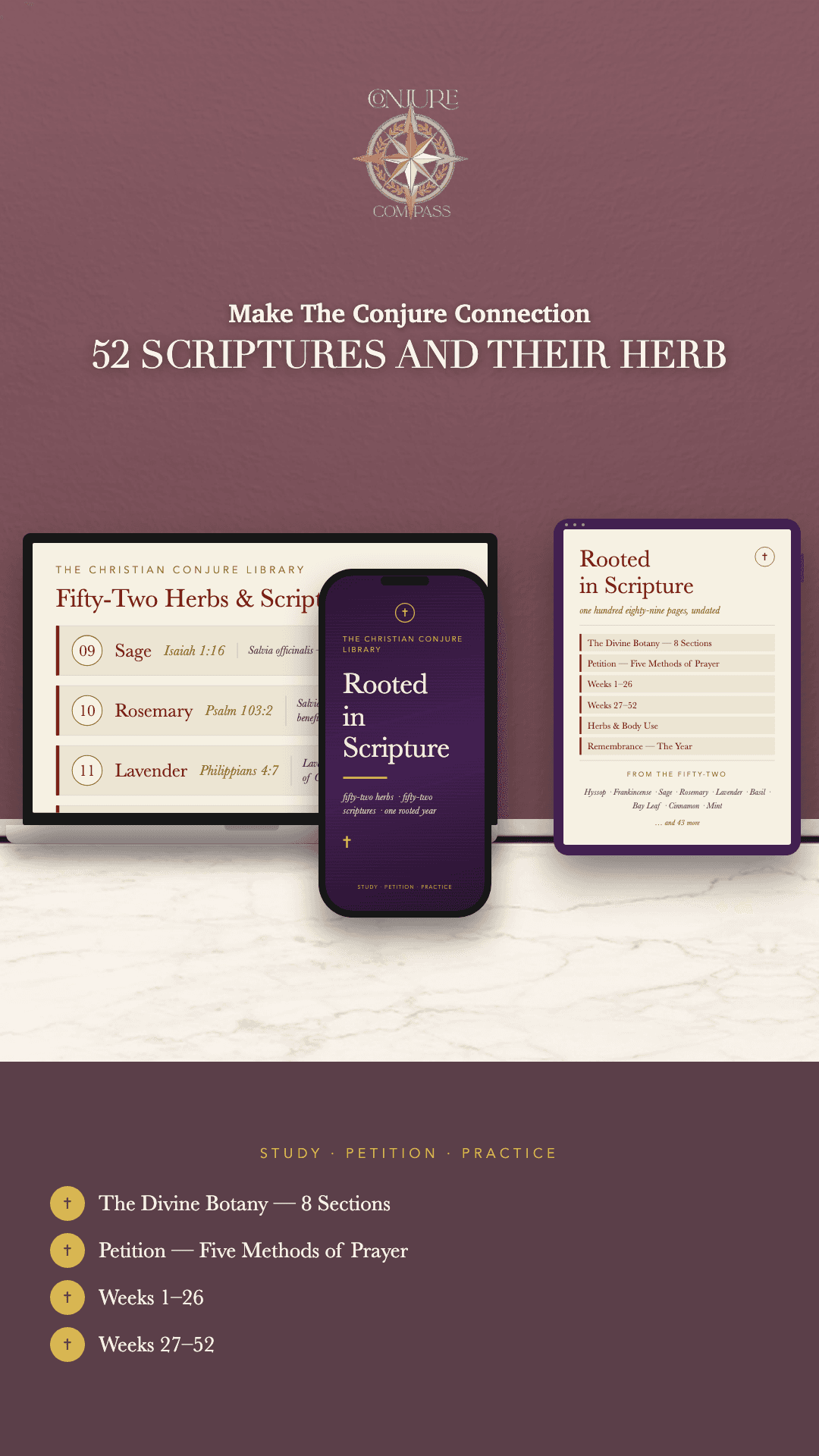 Rooted in Scripture Compass